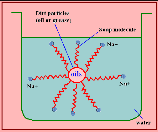 Explain cleansing action of detergents